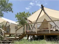 Surya Nature Retreat on 40 Acres with Amazing Views!