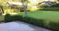 Convenient location. Walking distance to LSU lakes.