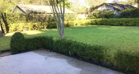 Convenient location. Walking distance to LSU lakes.