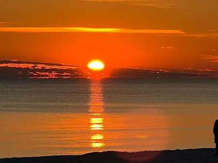 Quiet & Peaceful 1 Bedroom, Walk to Shops &Restaurants, Beach 5 Min. Away! Отели в г. Мирамар-Бич