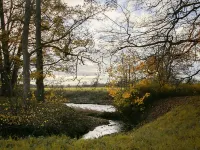 Single storey 2 bedroom lodge Hotels in Wetherby