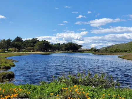 Beachfront Condo with Spectacular View