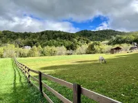 Luxury Asheville Studio with Great Blue Ridge Mountain Views!