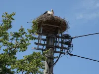 NEW since January 2015: Apartment with a sunny courtyard, garden and pool Hotels in Neustadt
