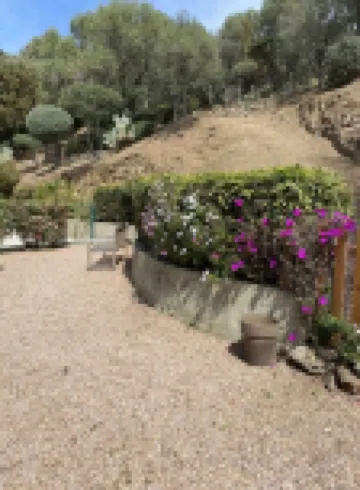 Villa with pool, between olive trees and sea - fantastic view!