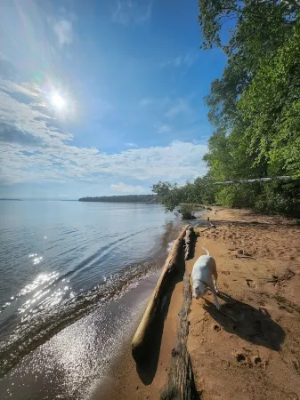 The Copper Squirrel is a secluded full log cabin on 10 acres.