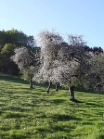 Bergisches Ferienhaus