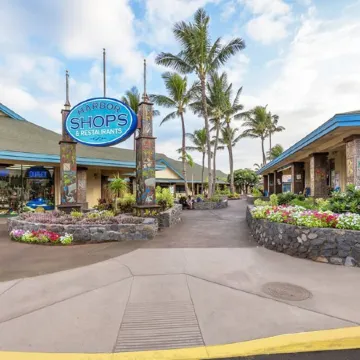 OCEANFRONT Spectacular 60 ft to the water, Recently Re-modeled! HDTV,WiFi,AC