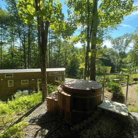 Custom-built Tiny House on forested lot near Quechee