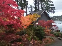 Bremerton Sheltered Waterfront
