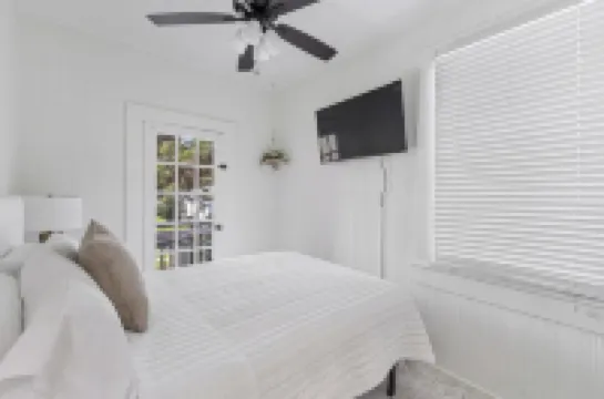 Luxury Home— Midtown; Huge Backyard; Mardi Gras