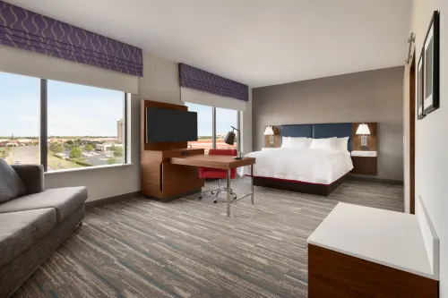 햄프턴 인 & 스위트 노먼 컨퍼런스 센터 에어리어