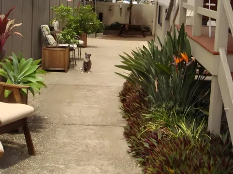 Brisbane Street Studios Ngoại thất Photos