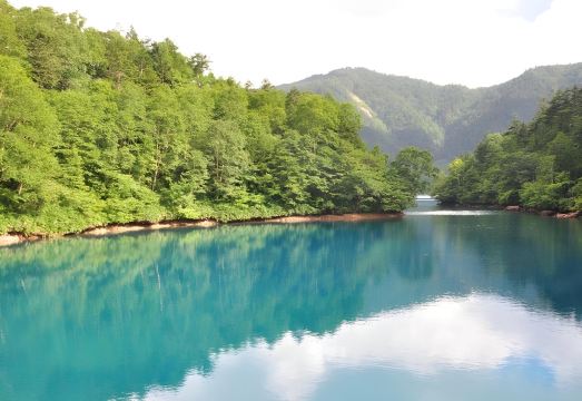 노자루 온센 호스텔 객실