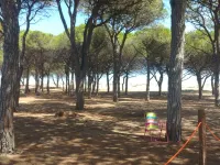 Sunny House, vacation home with garden near the beach in Budoni! Hotels in Budoni