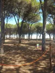 Sunny House, vacation home with garden near the beach in Budoni!