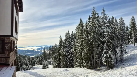 Tulip Apartment High-End, Grand Resort Pamporovo