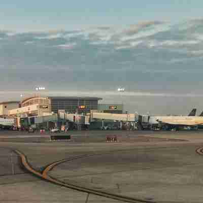 DTW スイーツ Others