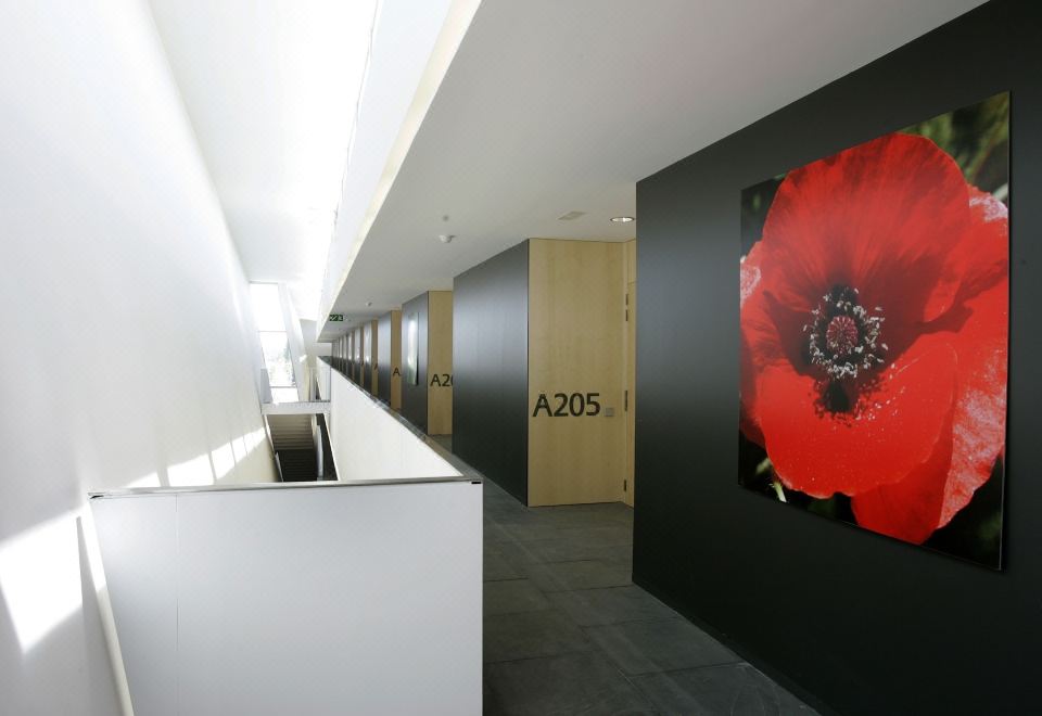 센터 에스플라이 호스텔