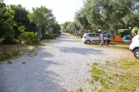 Camping Degli Ulivi - خدمة نقل من وإلى المطار