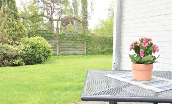 Geräumige Wohnung Mit Garten in Zingst