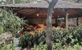 The Diveresort and Dancing Dugong Cafe