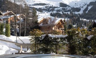 No 14 Verbier