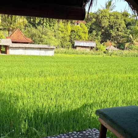 Uma Nirmala Aling-Aling