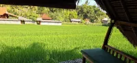 Uma Nirmala Aling-Aling Hotels near Aling Aling Waterfall