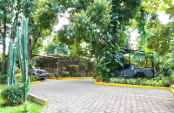 Villa Las Flores Hotels in 