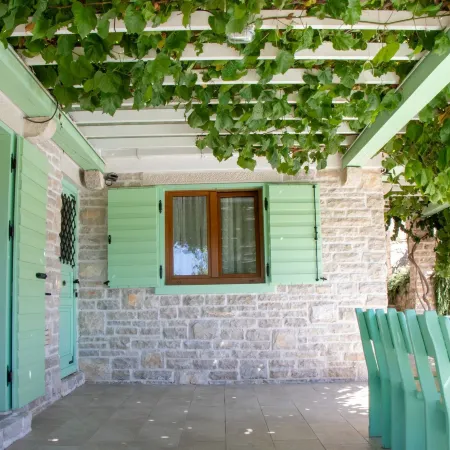 Authentic Dalmatian Treasure Homes
