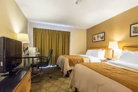 Comfort Inn Hôtels à : New Glasgow