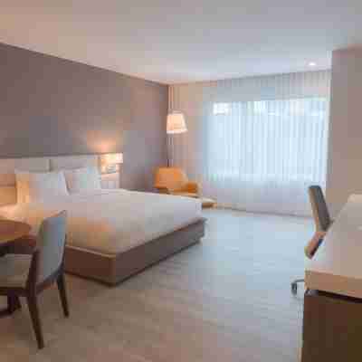 Hilton Garden Inn Santa Ana San Jose Rooms