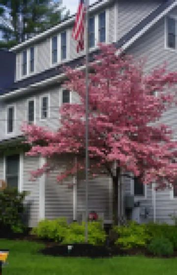 The Frogtown Inn