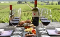 Spanspek se Plek Accommodation Hotels in Bonnievale