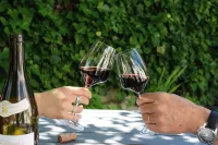 Les Plumes Hotels in Vosne-Romanee