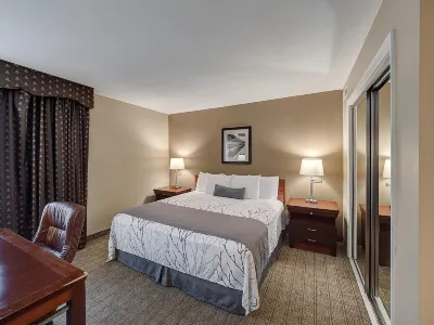 Eastlake Suites Hotel & Conference Center by OYO Urbana Hotels in Cunningham Township