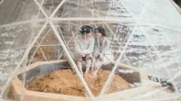 セトレならまち