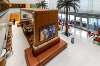 Roami at Brickell Arch | Pool | 3 Bedroom Hotel a Key Biscayne