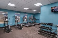 Fairfield Inn & Suites Austin Buda - Gym