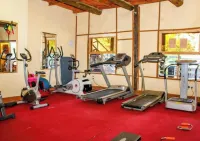 Dovenest Lodge - salle de sport