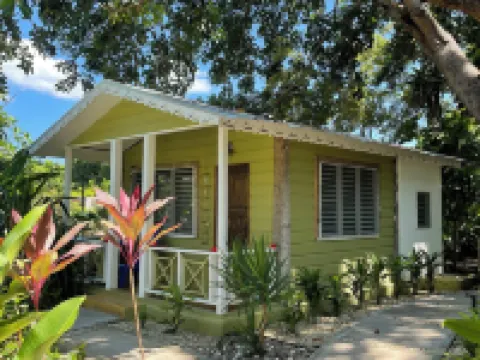 Bak A Yaad Hotels in West End