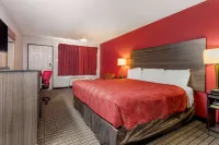 Econo Lodge Wichita Falls Downtown Hotels near World's littlest skyscraper
