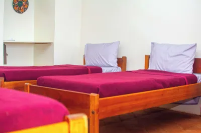 Savage Wilderness - Hostel Hotels in 