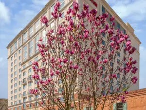 New Orleans Marriott Warehouse Arts District