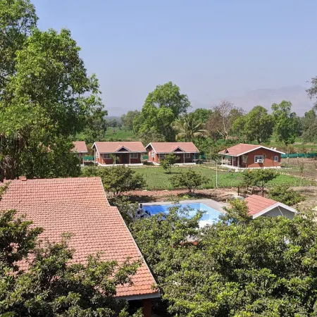 Mango Tree Farm