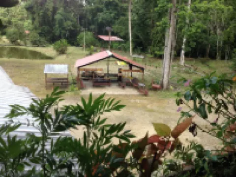 Grand Selva Lodge & Tours Hotels in Tena