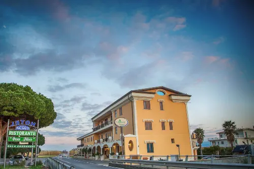 Palmed Hotel Hotels in Falerna