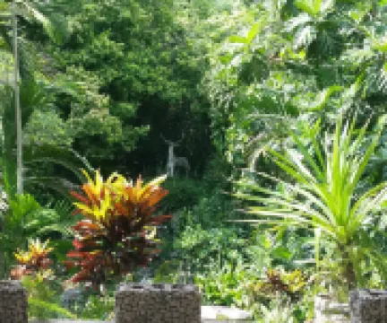 Pulse Suites at Villa Ronai Hotels in 