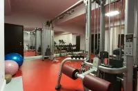 Hotel Dumbrava - Gym